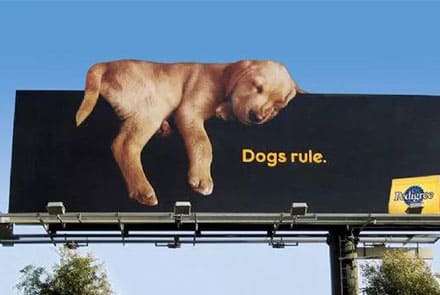 改变户外广告体验的六大趋势